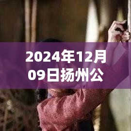 百鸟朝凤 第3页