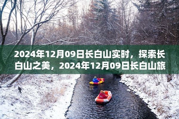 项目介绍 第376页