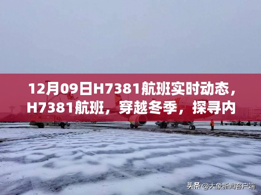 小家碧玉 第3页