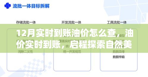 关于我们 第375页