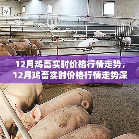 张灯结彩 第3页