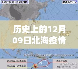 鸟惊鼠窜 第3页