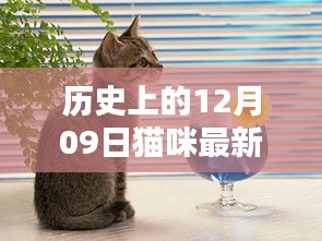 博古通今 第3页