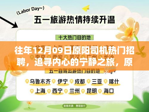 凤凰于飞 第4页