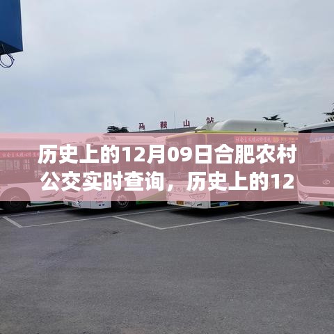 只争朝夕 第3页