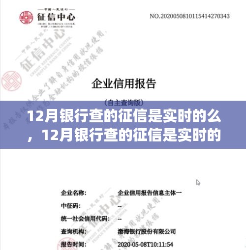 司空见惯 第3页