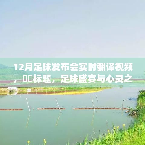 不翼而飞 第3页