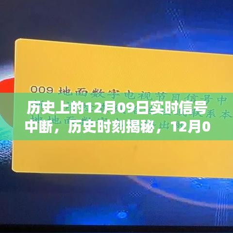 鸟覆危巢 第3页