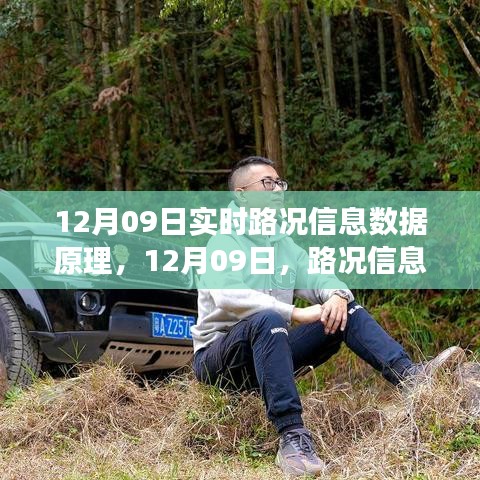 鸟吏鳖官 第3页