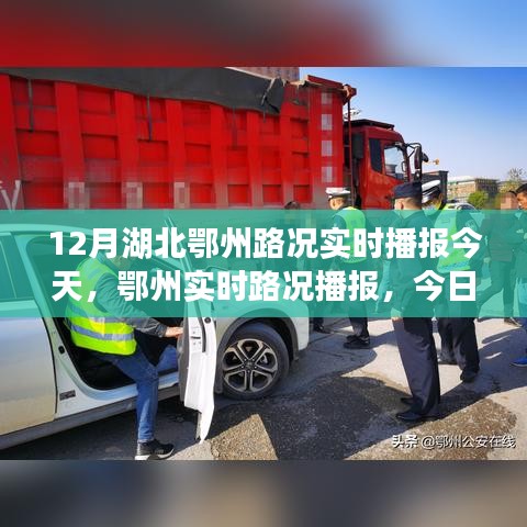 芒屩布衣 第3页
