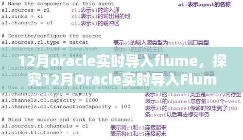 探究Oracle实时导入Flume的技术观点与实际应用（12月版）