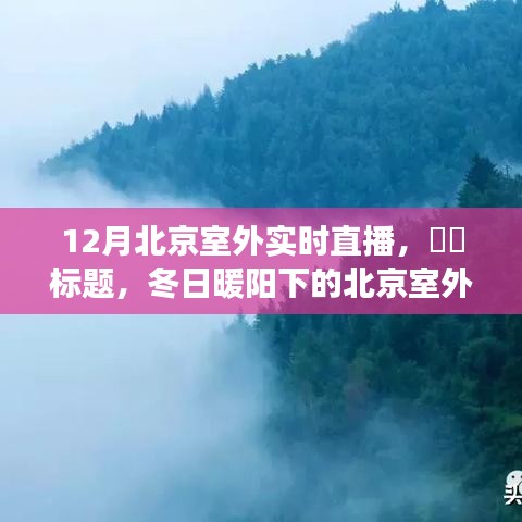橘虞初梦 第3页