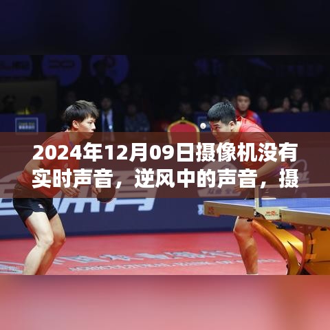 开张圣听 第2页