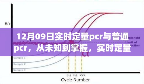 飞鸟依人 第3页