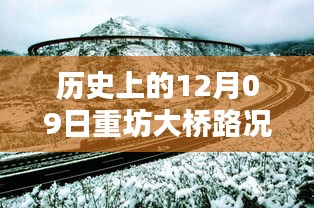 历史上的12月09日重坊大桥路况实时查询，深度分析与观点阐述