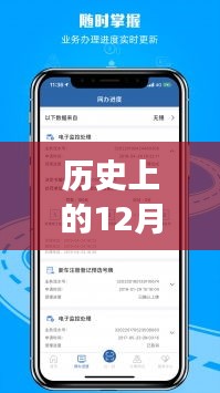 百鸟归巢 第3页