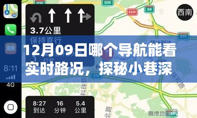 为民请命 第4页