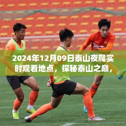 关于我们 第336页