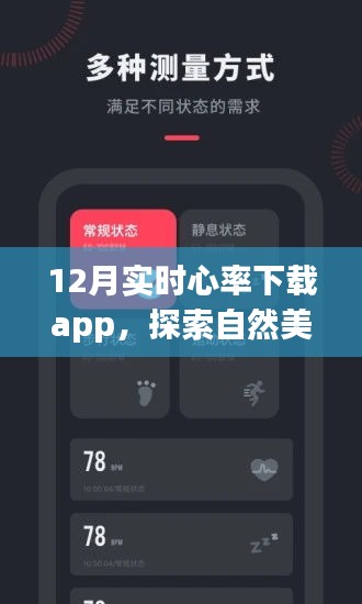 12月实时心率APP下载，探索内心平和之旅