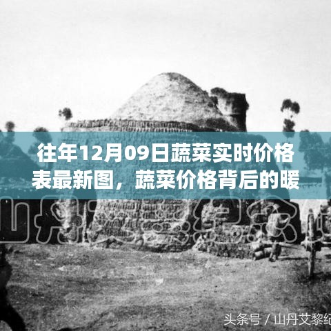 死得其所 第3页