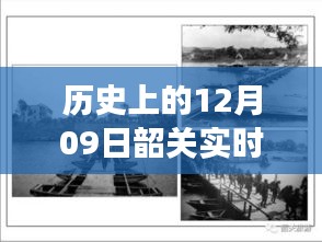 飞潜动植 第3页