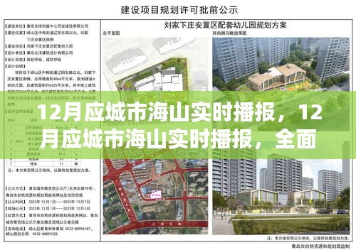 12月应城市海山实时播报，全面评测与详细介绍
