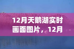 天生万物，唯人为贵 第2页
