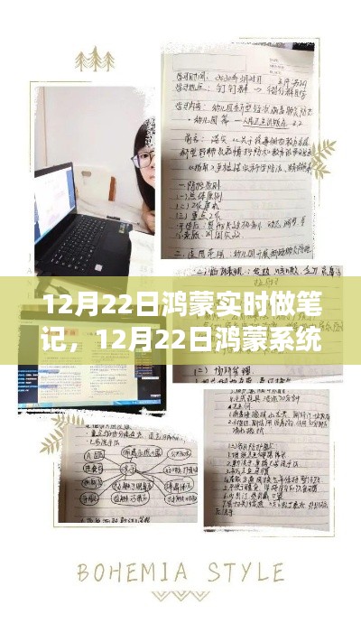 12月22日鸿蒙系统实时笔记，观点阐述与个人立场