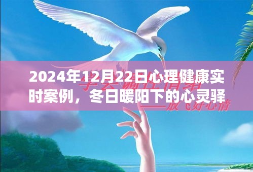 冬日暖阳下的心灵驿站，心理健康的温馨故事与实时案例分享
