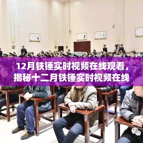 揭秘铁锤实时视频在线观看背后的真相，警惕违法犯罪风险，十二月铁锤视频在线观看指南