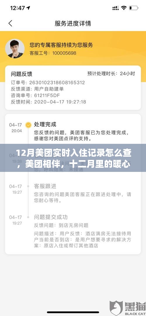 美团相伴，十二月实时入住记录查询与暖心入住回忆
