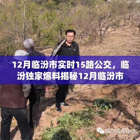 企业优势 第305页