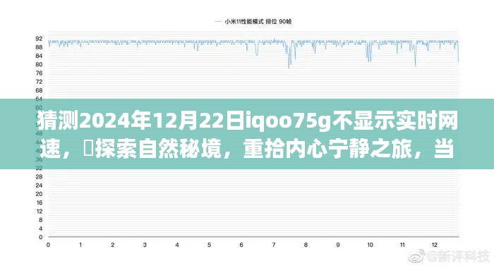 飞奇钩货 第3页