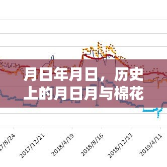 绝无仅有 第3页
