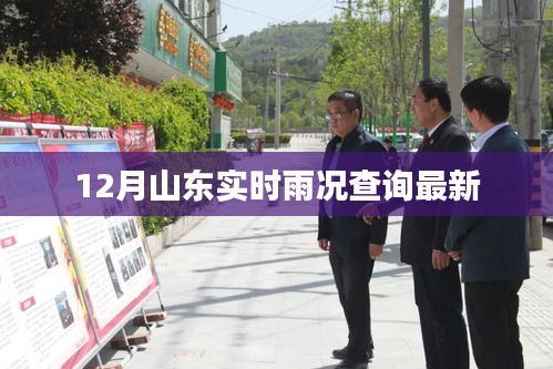 走马观花 第3页