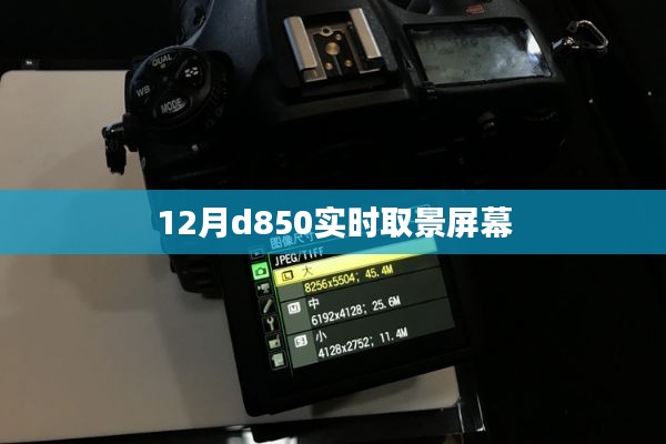 矢志不渝 第2页