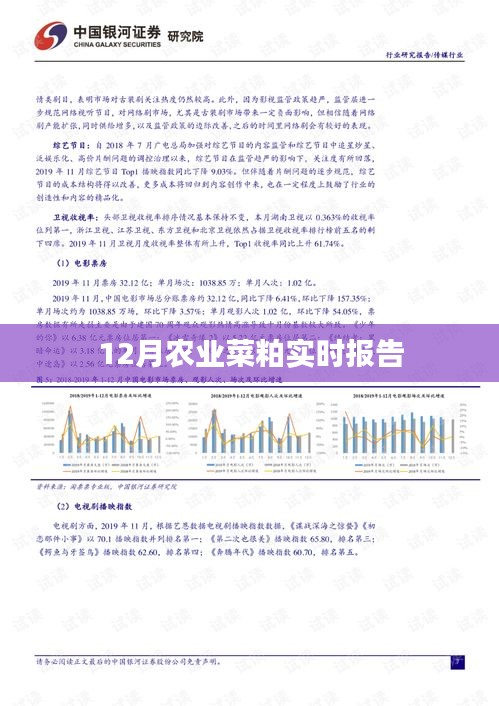 熊经鸟申 第3页