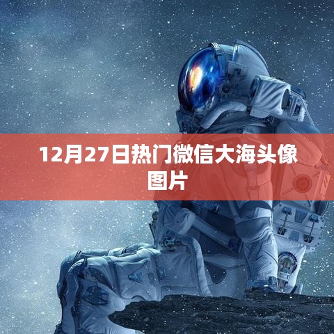 寥若晨星 第3页