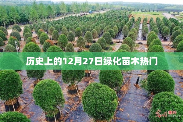 杳无音讯 第2页
