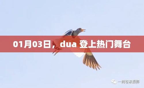 小家碧玉 第2页