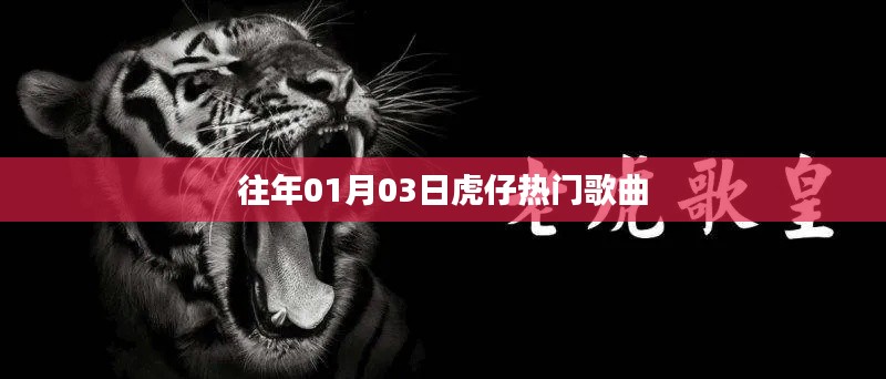 虎仔历年热门歌曲回顾，元旦新曲回顾