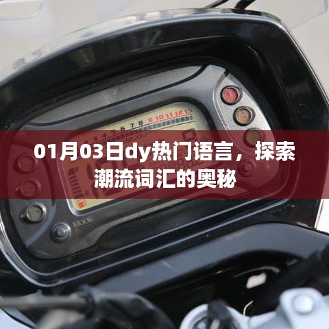 差强人意 第3页