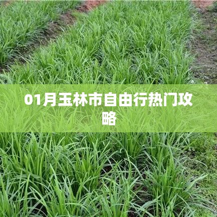 风流人物 第3页