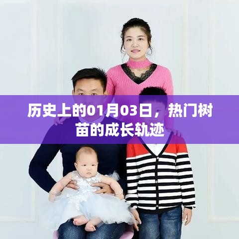 十年磨剑 第2页