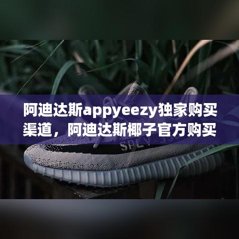 阿迪达斯appyeezy独家购买渠道，阿迪达斯椰子官方购买渠道 