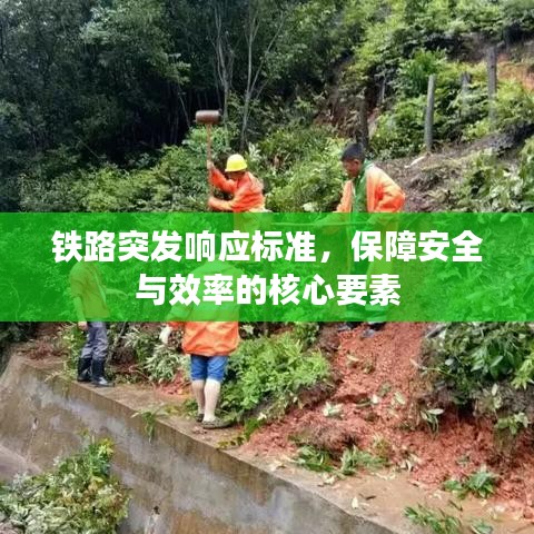 鸷鸟不群 第3页
