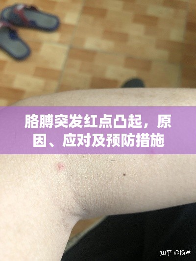 关于我们 第237页