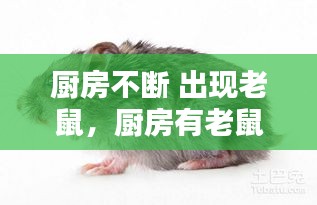 心急如焚 第2页