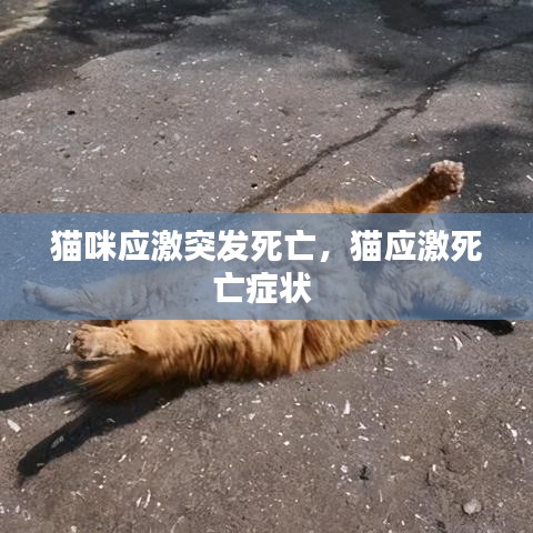 卧薪尝胆 第2页