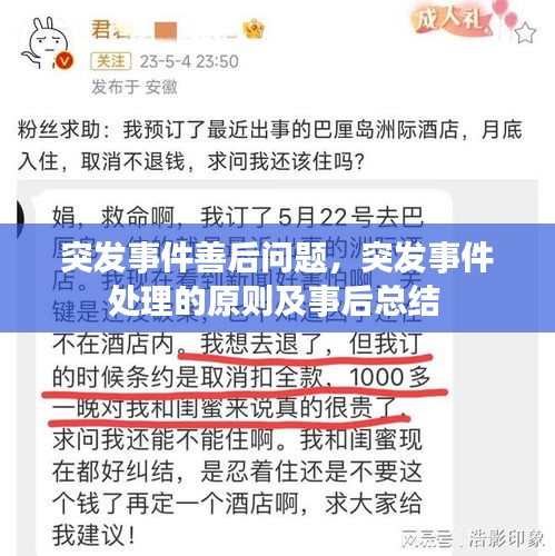 飞龙在天 第2页